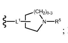 Figure imgf000017_0003