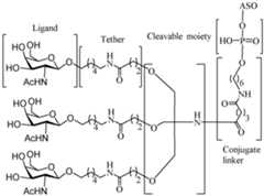 Figure imgf000011_0001