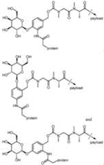 Figure imgf000009_0001