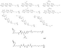 Figure imgf000088_0001