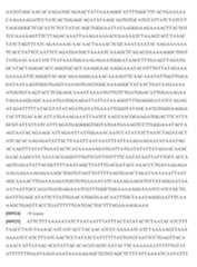 Figure imgf000317_0001