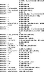 Figure BDA0000057170160001091