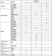 Figure imgf000124_0001