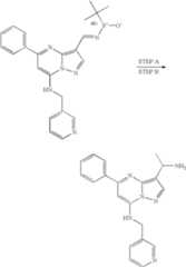 Figure US07119200-20061010-C01640