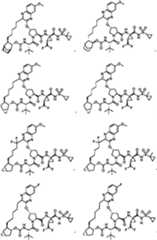 Figure imgf000014_0001