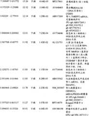 Figure BPA00001280678302801