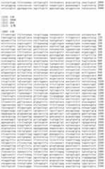 Figure IDA00002091897101591