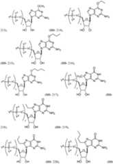 Figure imgf000706_0001