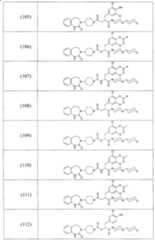 Figure A2006800095860024C1