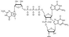 Figure imgf000171_0003