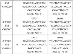 Figure BDA0002978200010002181
