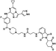 Figure BDA0002964098100001891