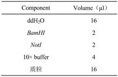 Figure BDA0001694531550000031