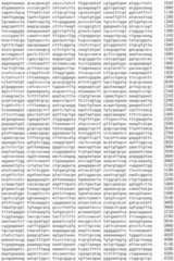 Figure IDA0002536600790000051