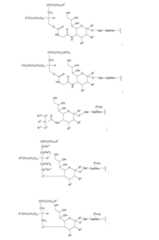 Figure 112009026250918-PCT00059