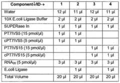 Figure imgf000020_0001