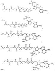 Figure imgf000570_0001