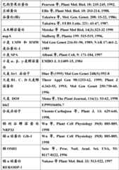 Figure BDA0000079231800000231