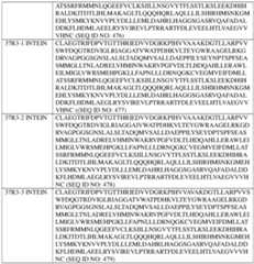 Figure imgf000473_0001