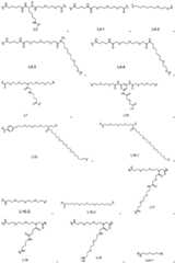 Figure BDA0002642358900000051