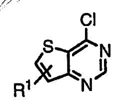 Figure 112007011503269-PCT00194