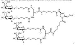 Figure imgf000077_0002