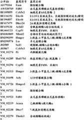 Figure BDA0000057170160002052