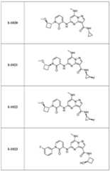Figure imgf000301_0001