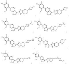 Figure imgf000235_0002