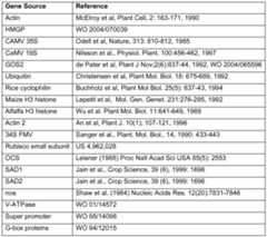 Figure imgf000020_0001