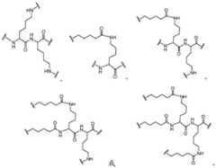 Figure BDA0003357312860001062