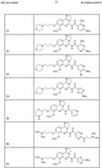 Figure imgf000024_0001