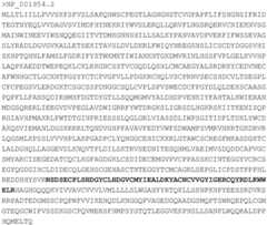 Figure BDA0003734621240000121