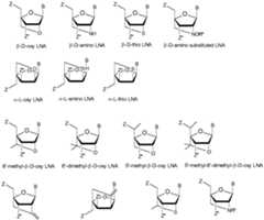 Figure imgf000042_0001