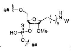 Figure imgf000048_0002