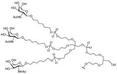 Figure 112016114379466-pct00204