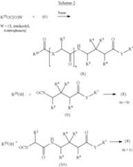 Figure US08367722-20130205-C00046