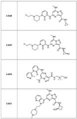 Figure imgf000258_0001