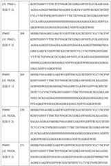 Figure BDA0004113681710001751