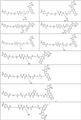 Figure PCTCN2022073822-appb-000376