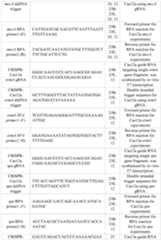 Figure imgf000112_0001