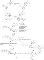 Figure imgf000564_0001