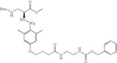 Figure US06511649-20030128-C00096