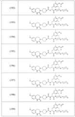 Figure A2006800095860035C1