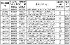 Figure BDA0003282506760001362