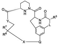 Figure imgf000033_0001