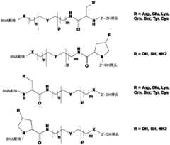 Figure FDA0003723571570000031