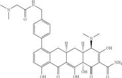 Figure US08088820-20120103-C00249