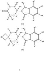 Figure imgf000006_0001