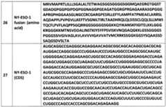 Figure imgf000047_0001
